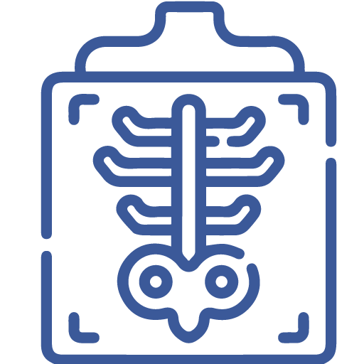 iconos 16